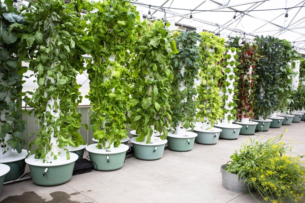 How To Make Your Own DIY Hydroponic Tower Garden Organize With Sandy