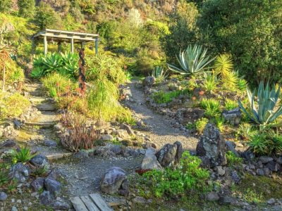 17 Hillside Landscaping Ideas to Beautify Your Hillside Yard in 2020