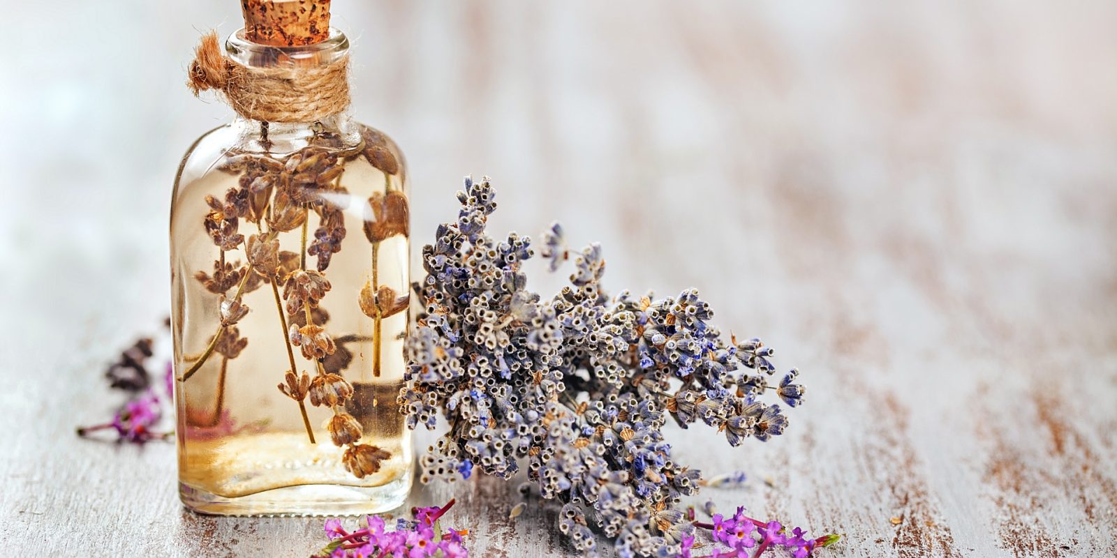 Enjoying the Fragrances of the Holidays with the Best Essential Oils