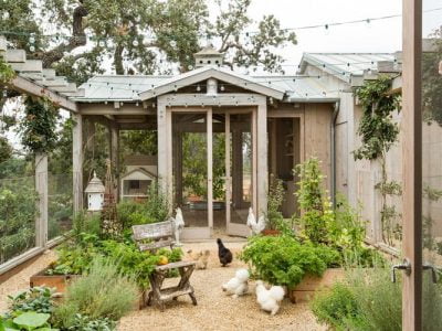 14 Awesome Chicken Coop Plans: Detailed List