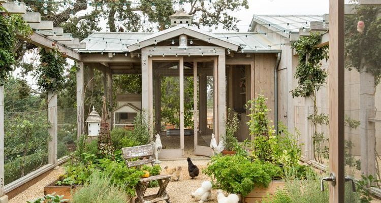 14 Awesome Chicken Coop Plans: Detailed List