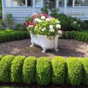 15 Awesome and Cheap Landscaping Ideas: #7 Is Too Easy