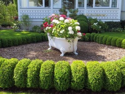 15 Awesome and Cheap Landscaping Ideas: #7 Is Too Easy