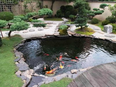 15 Backyard and Garden Pond Design and Ideas