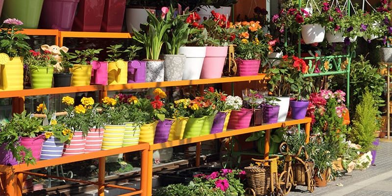 20 Best Online Gardening Stores