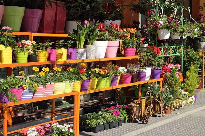 20 Best Online Gardening Stores You Should Check Out Organize With Sandy