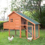 5+ Chicken Coop Door Ideas: Great Help to Get You Started