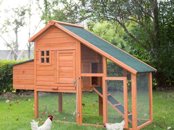 10+ Small Chicken Coop Plans: Build Amazing Hen House - Organize With Sandy