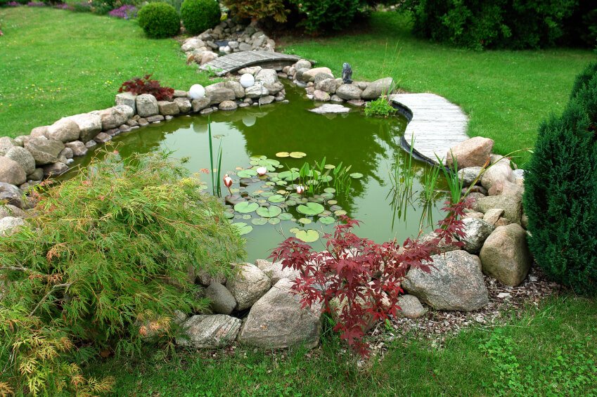 A Garden Pond with a Small Stream 