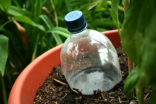 Add Water to The Container