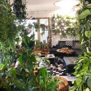 Adorable Indoor Garden Ideas You Should Apply