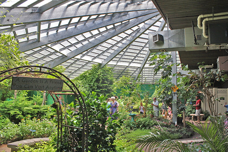 Butterfly Garden