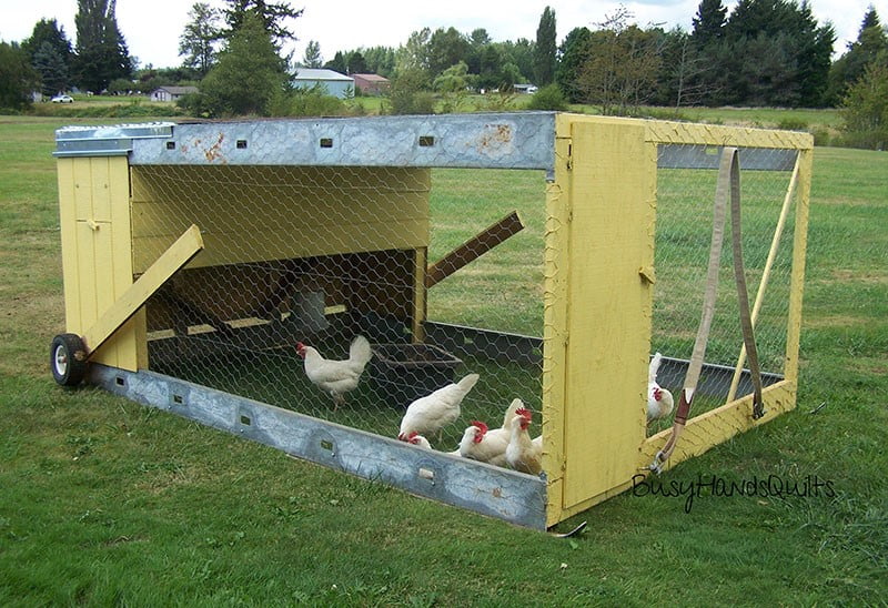 Chicken Coop on Wheels or Chicken Tractor
