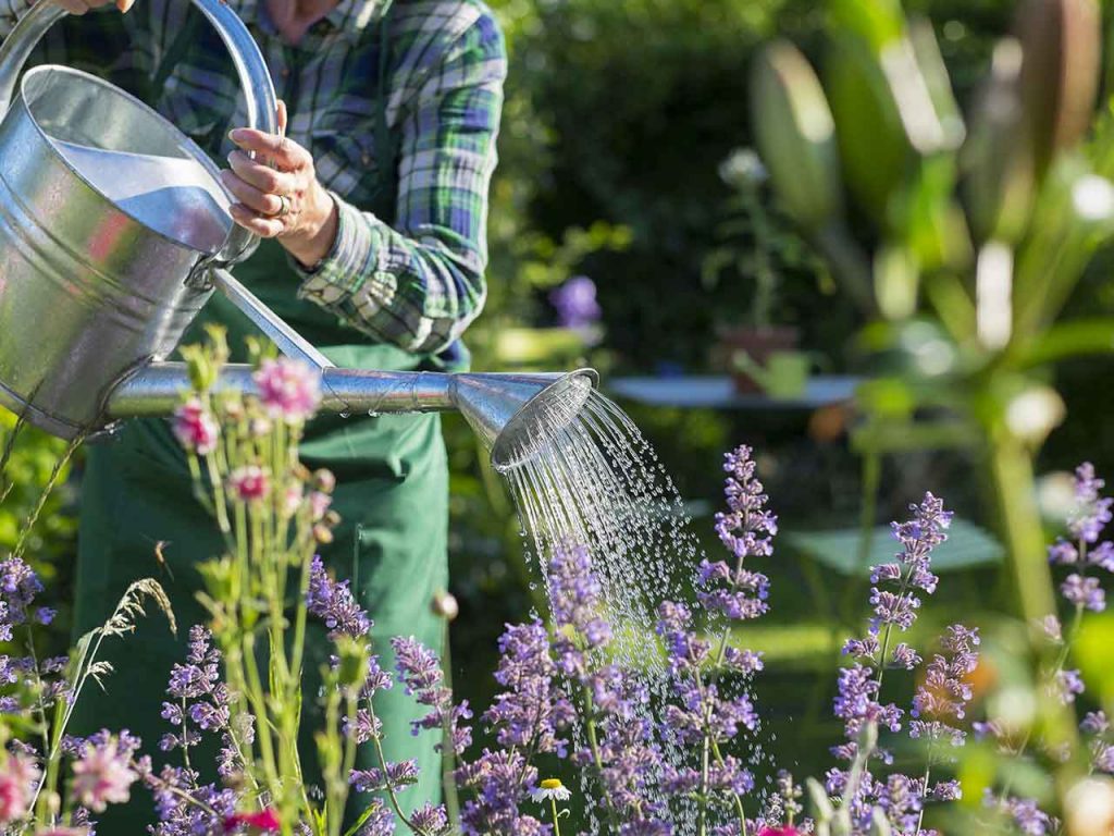 Gardening for Health