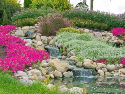 How to Build Rock Gardens [In-Depth Guide]