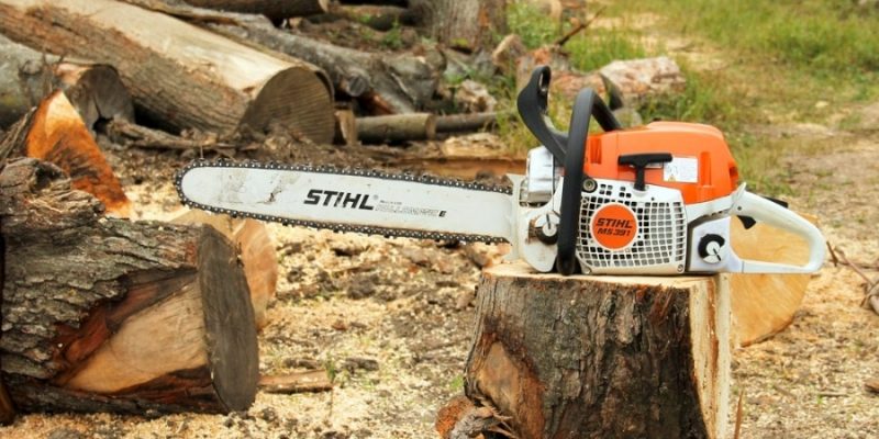 How to Oil A Chainsaw? [Chainsaw Lubrication Tips]