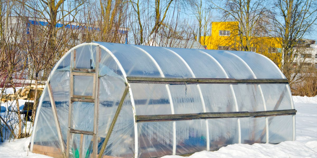 Greenhouses Work In Winter