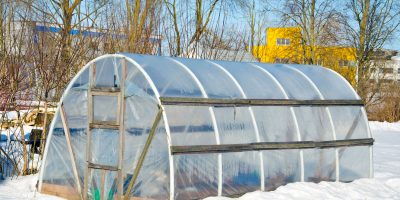 How To Use A Greenhouse In Winter - Explained - Organize With Sandy