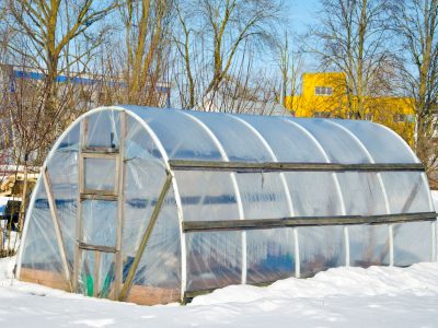 How to Use Greenhouse in Winter?