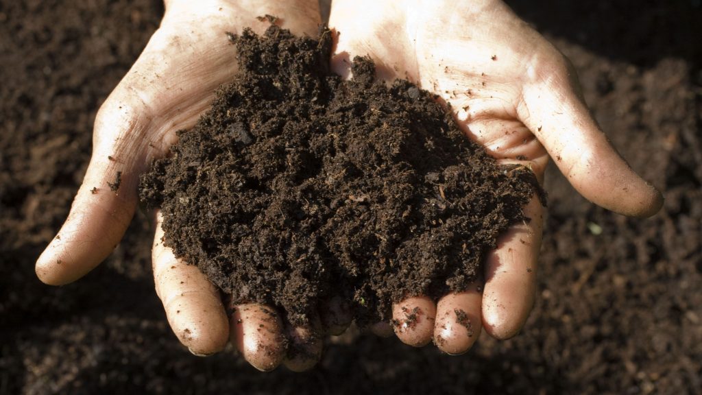 How to Use a Soil Test Kit: A Guide to Your Soil Health