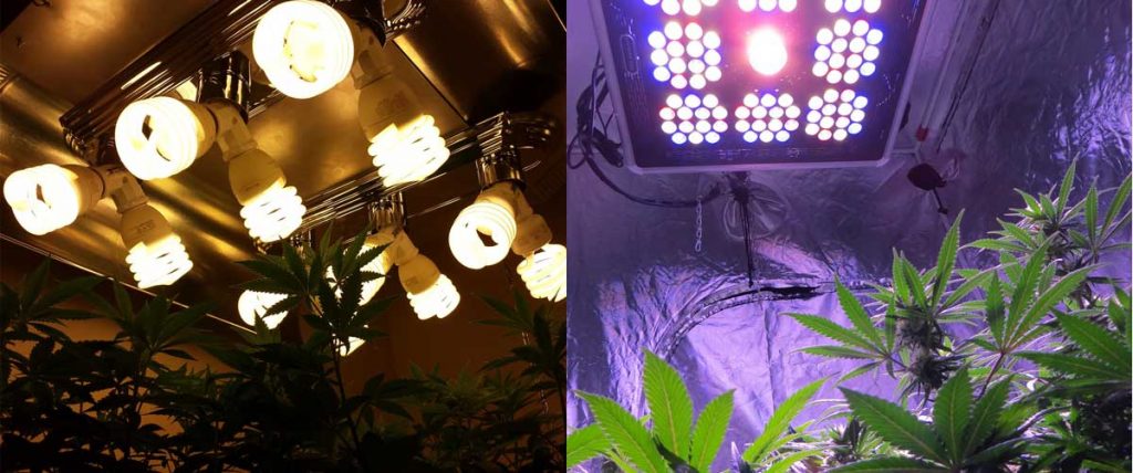 LED vs Fluorescent Grow Lights