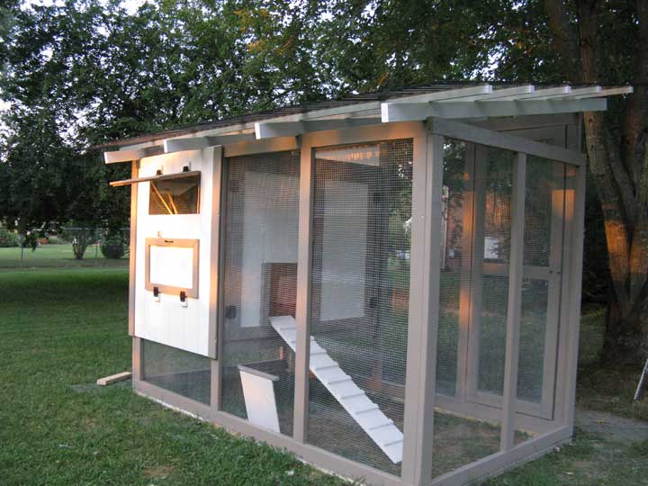 Close-Packed Chicken Coop with Running Area