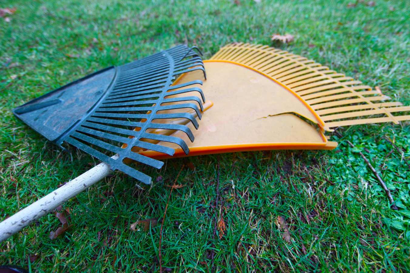 Metal or Plastic Rake? An Analysis Organize With Sandy