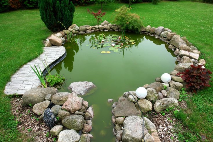 Natural Pond