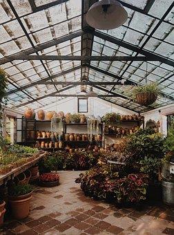 Greenhouse