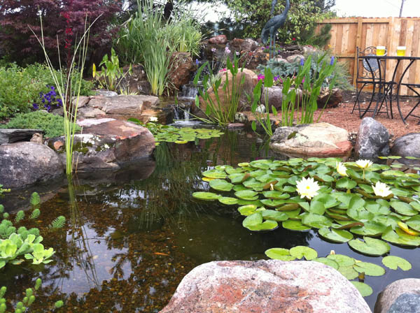 Right Depth Pond