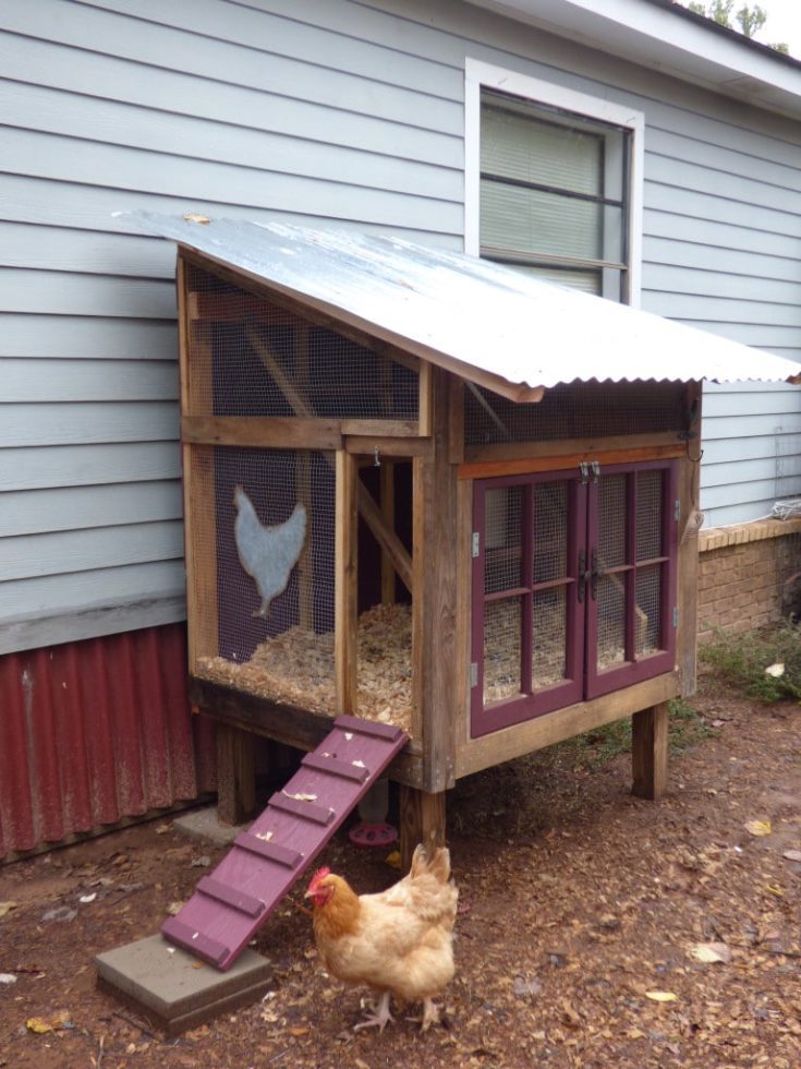 10+ Small Chicken Coop Plans: Build Amazing Hen House - Organize With Sandy