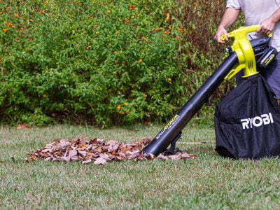 Should You Buy a Leaf Blower or a Rake?