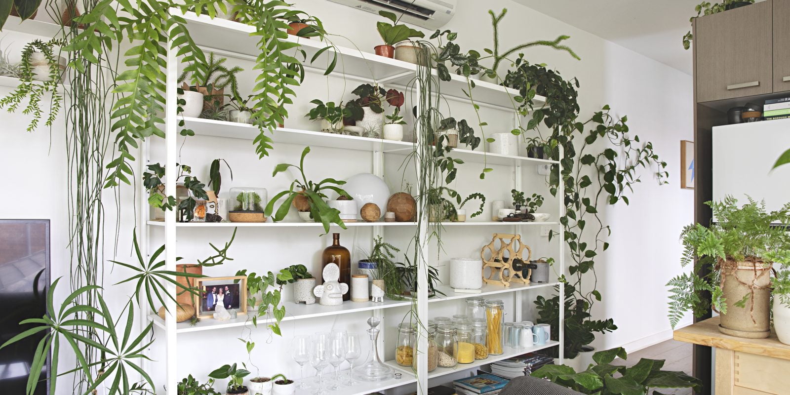 The Best Indoor Plant Stands & Shelves for Your Home - Organize With Sandy