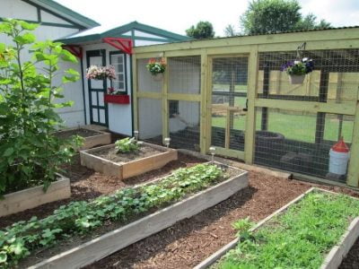 14 Awesome Large Chicken Coop Plans: Detailed List - Organize With Sandy