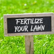 What Fertilizer Numbers to Use in Spring - Lawn Fertilizer Guide 2020