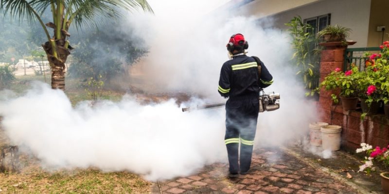 What Is A Mosquito Fogger, and Do They Work?