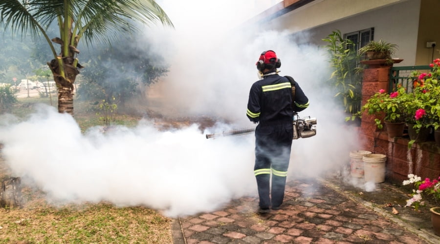 What Is a Mosquito Fogger, and Do They Really Work? Organize With Sandy