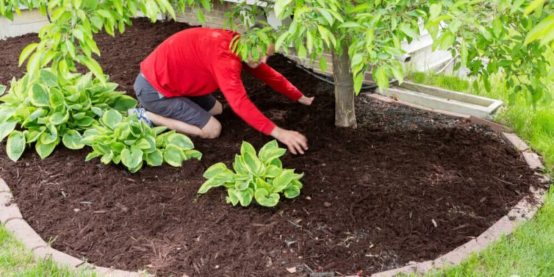 What is Mulch? - A Brief Discussion About Mulching