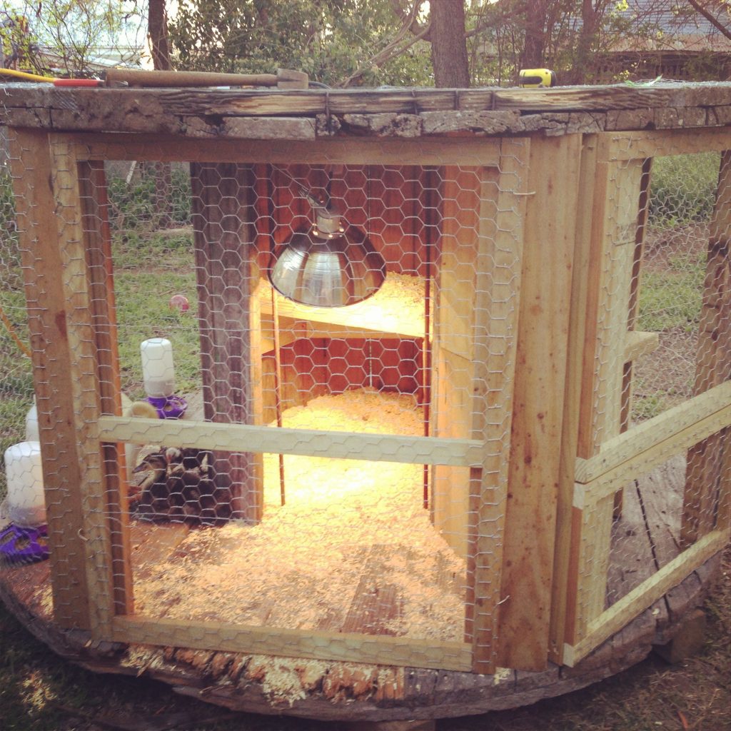 Wire Spools Chicken Coop