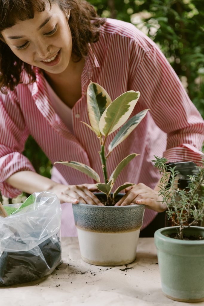 Taking Care of Potted Plants