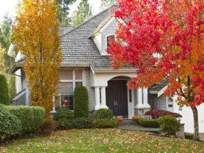 18 Of the Best Fall Landscape Ideas