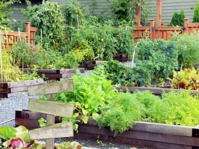 20 Backyard Garden Ideas - Small or Large