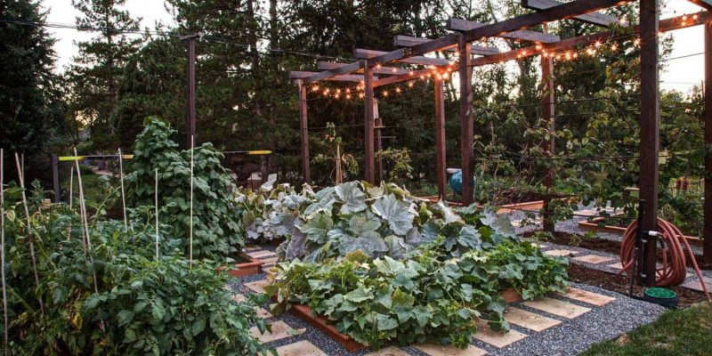 28 Fabulous Garden Box Ideas