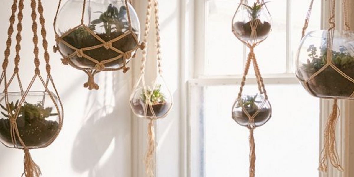 Best Macramé Plant Hangers for Indoor Plants Organize With Sandy