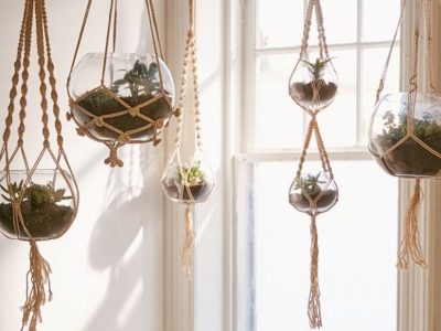 Best Macramé Plant Hangers for Indoor Plants 