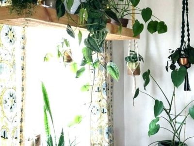 Best Plant Hangers for Your Room