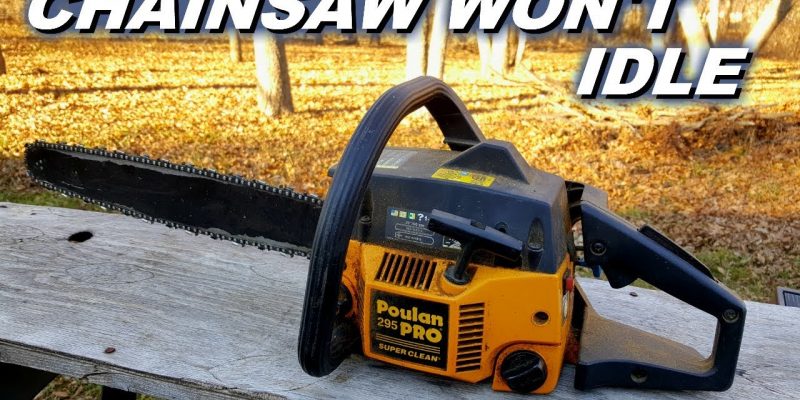 Chainsaw Won't Idle - What's the Next Step?