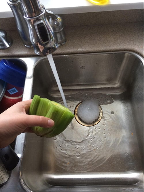Washing Celery