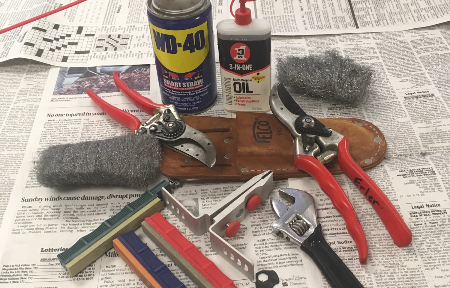 How To Sharpen Pruning Shears With A File Complete Guide Organize