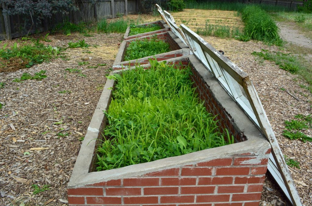 Coldframe